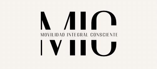 El Método MIC